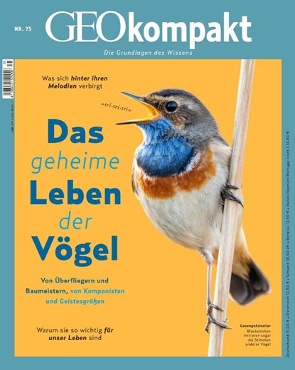 GEOkompakt / GEOkompakt 75/2023 - Das geheime Leben der Vögel, Jürgen Schaefer ; Katharina Schmitz - Paperback - 9783652012577