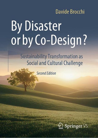 By Disaster or by Co-Design?, Davide Brocchi - Gebonden - 9783658503192