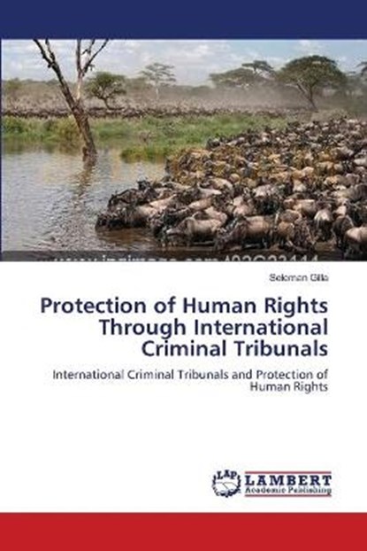 Protection of Human Rights Through International Criminal Tribunals, GILLA,  Seleman - Paperback - 9783659002601