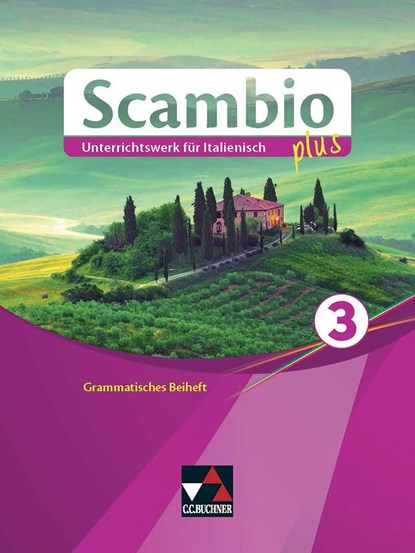 Scambio plus 3 Grammatisches Beiheft, Martin Stenzenberger - Paperback - 9783661391182
