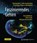 Faszinierendes Gehirn, BECK,  Henning - Gebonden - 9783662470916