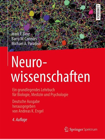 Neurowissenschaften, Mark F. Bear ; Barry W. Connors ; Michael A. Paradiso - Gebonden - 9783662572627