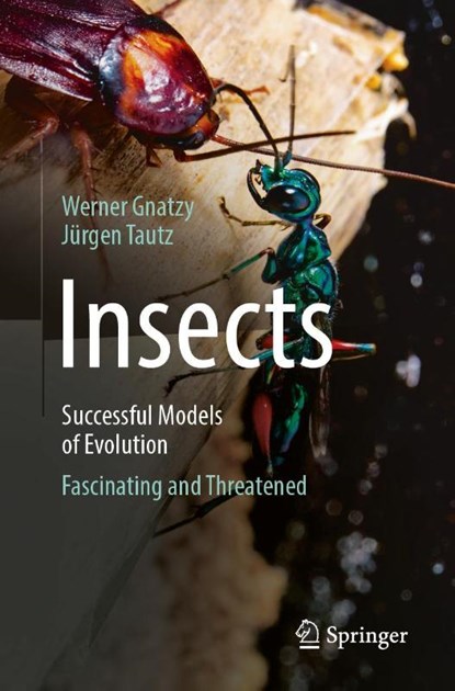 Insects - Successful Models of Evolution, Jürgen Tautz ; Werner Gnatzy - Paperback - 9783662710289