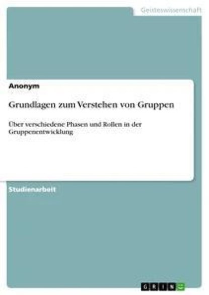 Grundlagen zum Verstehen von Gruppen, Anonym - Paperback - 9783668952904