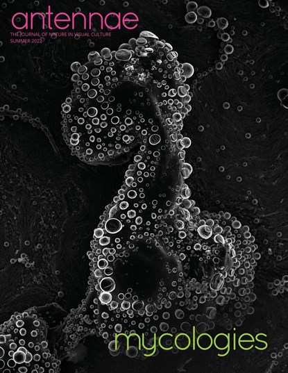Antennae #58 Mycologies, Merlin Sheldrake ; Helena Wee - Paperback - 9783689760199