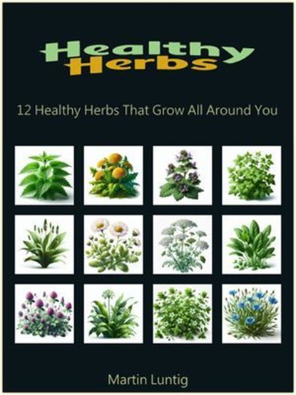 Healthy Herbs, Martin Luntig - Ebook - 9783689951139