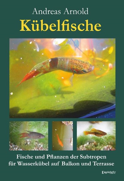 Kübelfische, Andreas Arnold - Paperback - 9783690951142