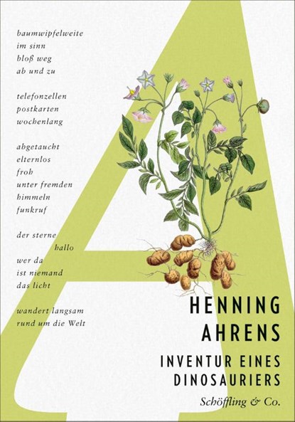 Inventur eines Dinosauriers, Henning Ahrens - Gebonden - 9783690970273
