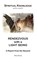 Rendezvous with a Light Being, Mike Brand - Paperback - 9783695156689