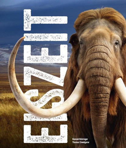 Eiszeit - Ice Age, Hannah Rohringer ; Thomas Einwögerer - Paperback - 9783700197379