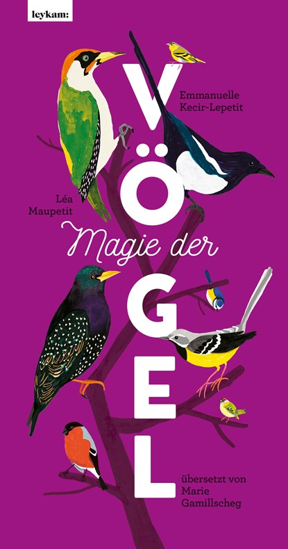 Magie der Vögel, Emmanuelle Kecir-Lepetit - Gebonden - 9783701182992