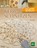 Kerbschnitzen, Dennis Moor - Paperback - 9783702017101