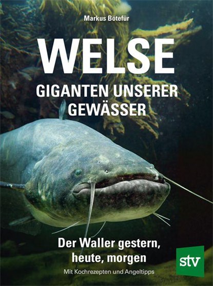 Welse - Giganten unserer Gewässer, Markus Bötefür - Gebonden - 9783702023294