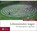 Lebenswenden wagen, Gernot Candolini - Gebonden - 9783702230562