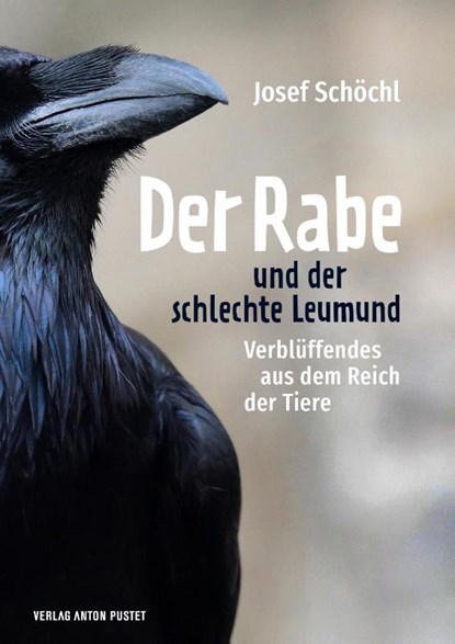 Der Rabe und der schlechte Leumund, Josef Schöchl - Gebonden - 9783702510572