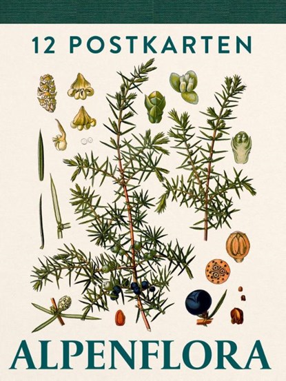Alpenflora, niet bekend - Paperback - 9783702511449