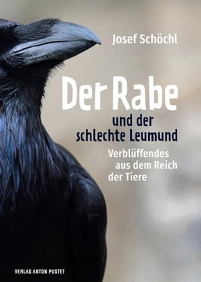 Der Rabe und der schlechte Leumund, Josef Schöchl - Ebook - 9783702580964