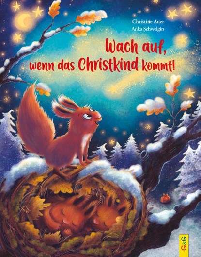 Wach auf, wenn das Christkind kommt!, Christine Auer - Gebonden - 9783707425833