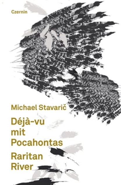 Déjà-vu mit Pocahontas. Raritan River, Michael Stavaric - Ebook - 9783707603408
