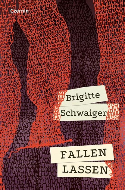 Fallen lassen, Brigitte Schwaiger - Paperback - 9783707608793
