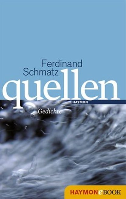 quellen, Ferdinand Schmatz - Ebook - 9783709974957