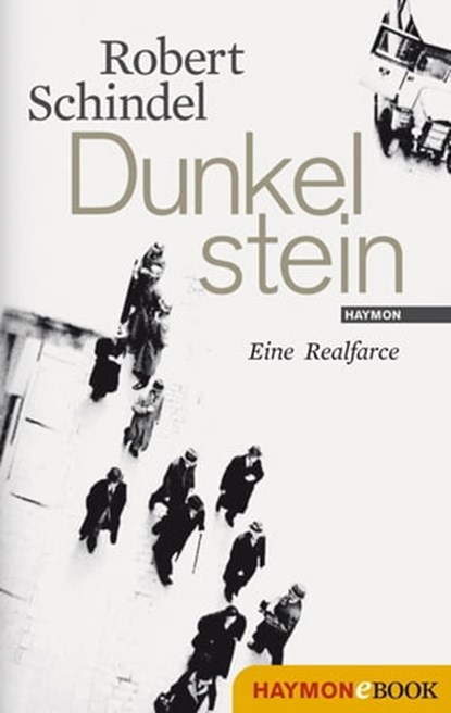 Dunkelstein, Robert Schindel - Ebook - 9783709977507