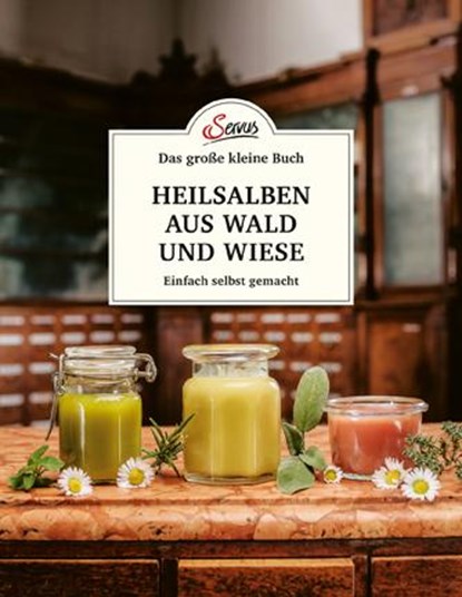 Das große kleine Buch: Heilsalben aus Wald und Wiese, Gabriela Nedoma - Gebonden - 9783710401770