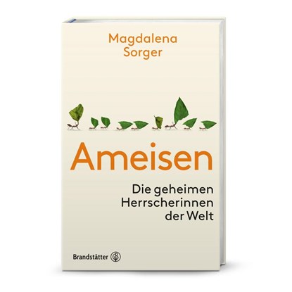 Ameisen, Magdalena Sorger - Gebonden - 9783710608032