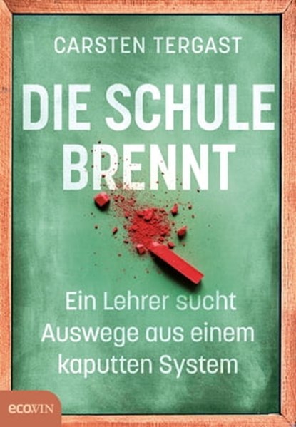 Die Schule brennt, Carsten Tergast - Ebook - 9783711053169