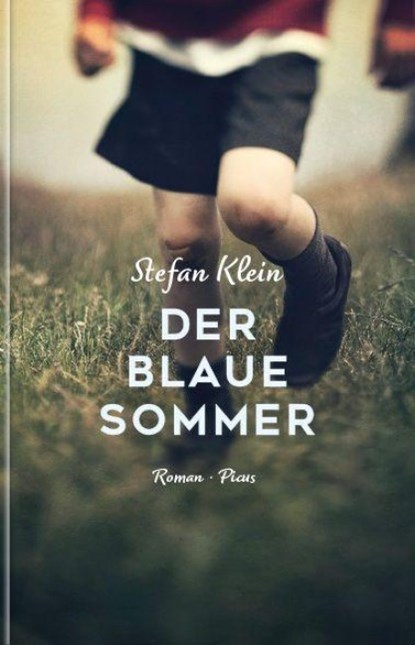 Der blaue Sommer, Stefan Klein - Gebonden - 9783711721709