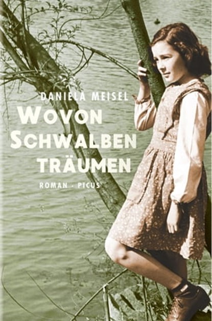 Wovon Schwalben träumen, Daniela Meisel - Ebook - 9783711753823