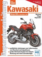 Kawasaki Versys 650 ccm | Franz Josef Schermer | 