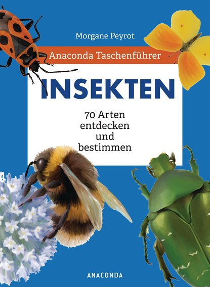 Anaconda Taschenführer Insekten. 70 Arten entdecken und bestimmen, Morgane Peyrot ;  Lise Herzog - Gebonden - 9783730609484