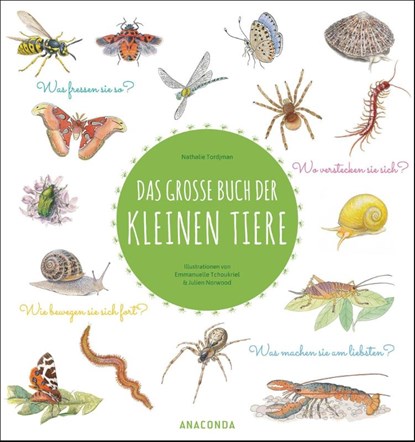 Das große Buch der kleinen Tiere, Nathalie Tordjman - Gebonden - 9783730610565