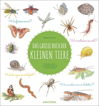 Das große Buch der kleinen Tiere, Nathalie Tordjman - Gebonden - 9783730610565