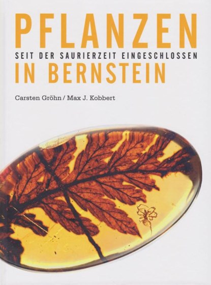 Pflanzen in Bernstein, Ambertop ; Carsten Gröhn - Gebonden - 9783730822449