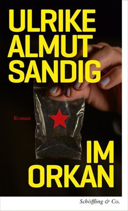 Im Orkan, Ulrike Almut Sandig - Ebook - 9783731700395