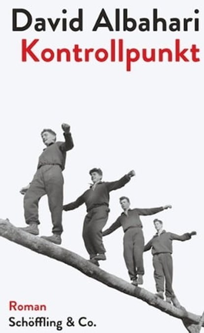 Kontrollpunkt, David Albahari ; John Drysdale - Ebook - 9783731760047