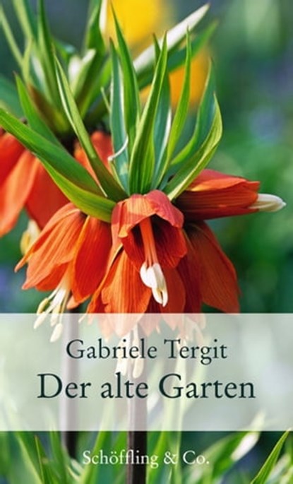 Der alte Garten, Gabriele Tergit - Ebook - 9783731760351