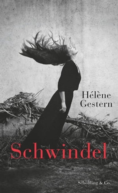 Schwindel, Hélène Gestern - Ebook - 9783731762218