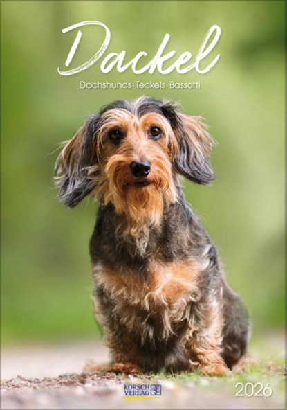 Dackel 2026, Verlag Korsch - Paperback - 9783731883630