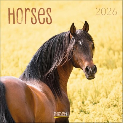 Horses 2026, Verlag Korsch - Paperback - 9783731883807