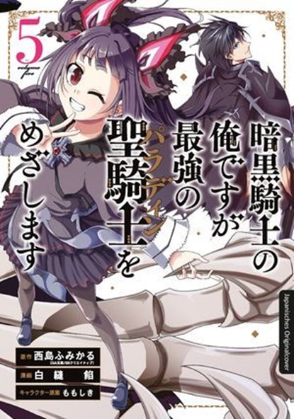 Dark Paladin 05, Fumikaru Nishijima - Ebook - 9783732022076