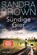 Sündige Gier, Sandra Brown - Paperback - 9783734114915