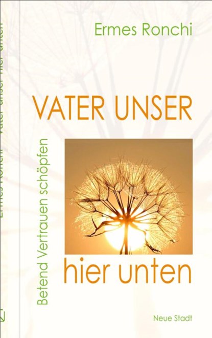 Vater unser hier unten, Ermes Ronchi - Gebonden - 9783734613791