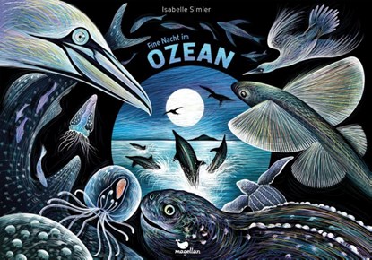 Eine Nacht im Ozean, Isabelle Simler - Gebonden - 9783734860676