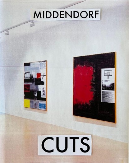 Cuts, niet bekend - Gebonden - 9783735610904