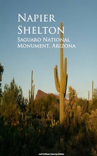 Saguaro National Monument, Arizona, Napier Shelton - Ebook - 9783736416369