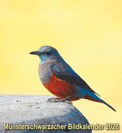 Münsterschwarzacher Bildkalender 2026, Abtei Münsterschwarzach - Paperback - 9783736506411