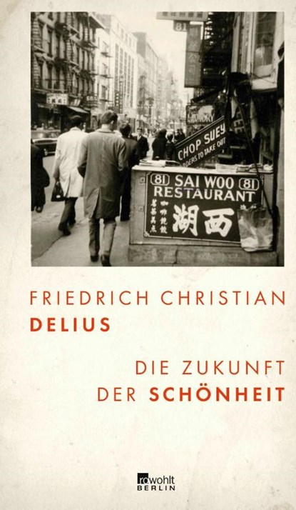 Die Zukunft der Schönheit, Friedrich Christian Delius - Gebonden - 9783737100403